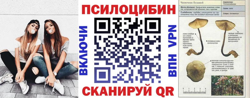 Купить где  Рязань  Псилоцибиновые грибы Psilocybine cubensis 